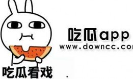 吃瓜网红黑历史,那些不为人知的黑历史